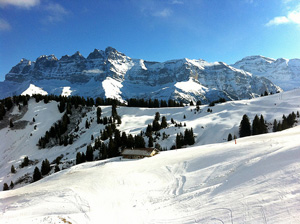 Skiurlaub-Skireisen